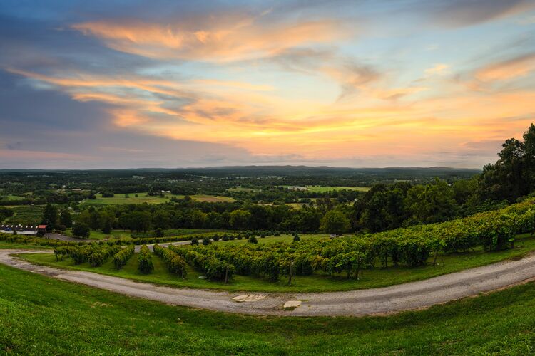 Aussicht vom Bluemont Vineyard in Northern Virginia