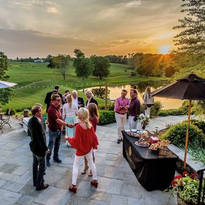 Blick auf das Greenhill Vineyard in Loudoun County, Virginia