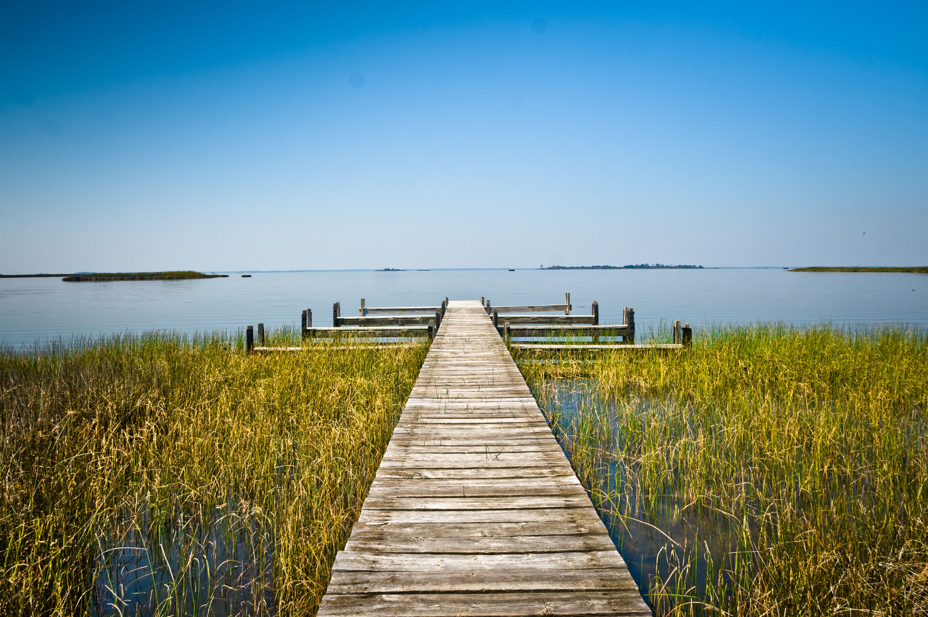 False Cape State Park