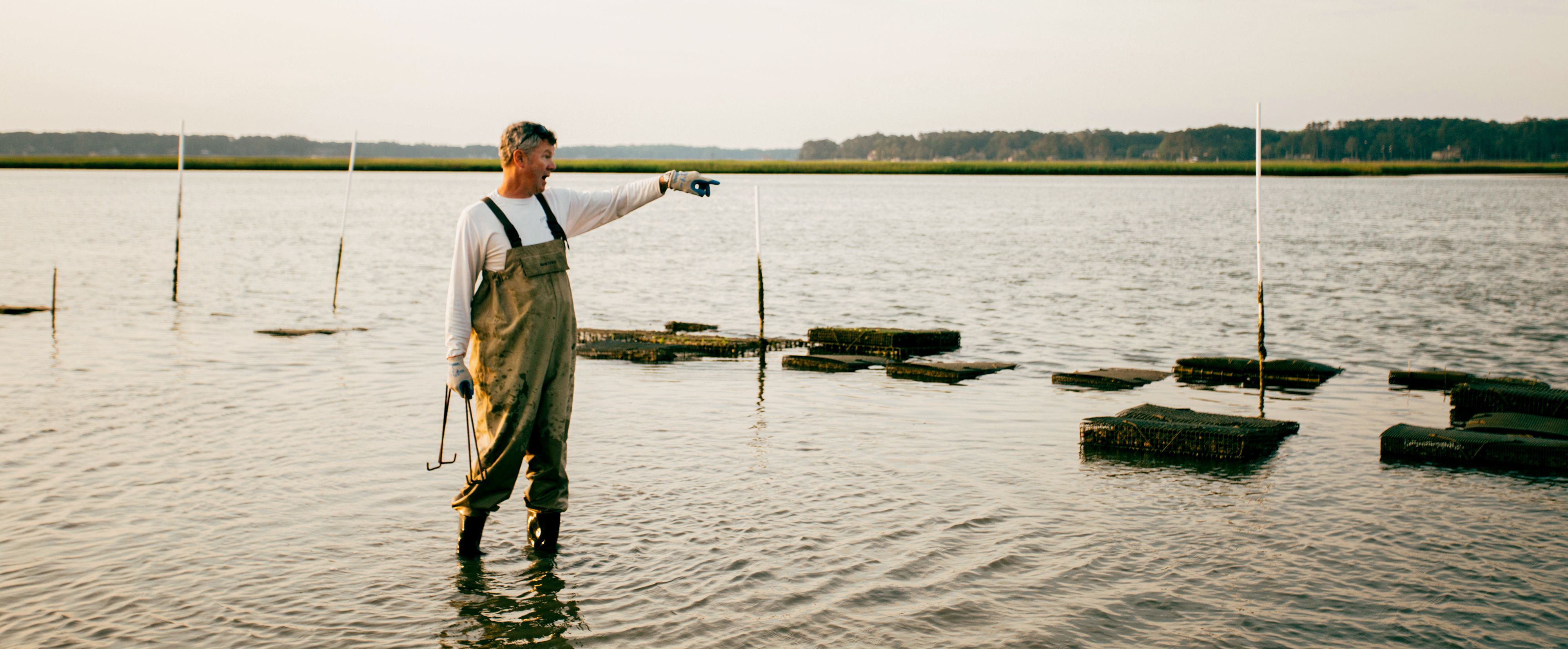 Ein Fischer auf einer Oyster Farm in Virginia Beach, Virginia