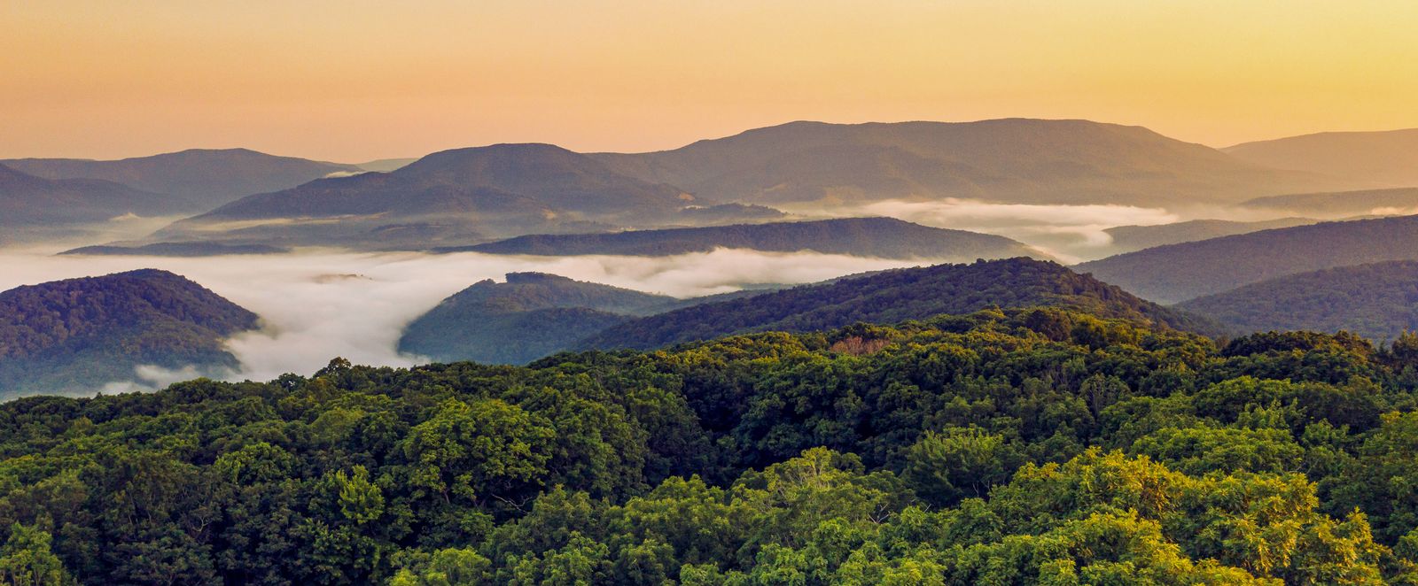 Nebel legt sich auf die atemberaubende Landschaft West Virginias