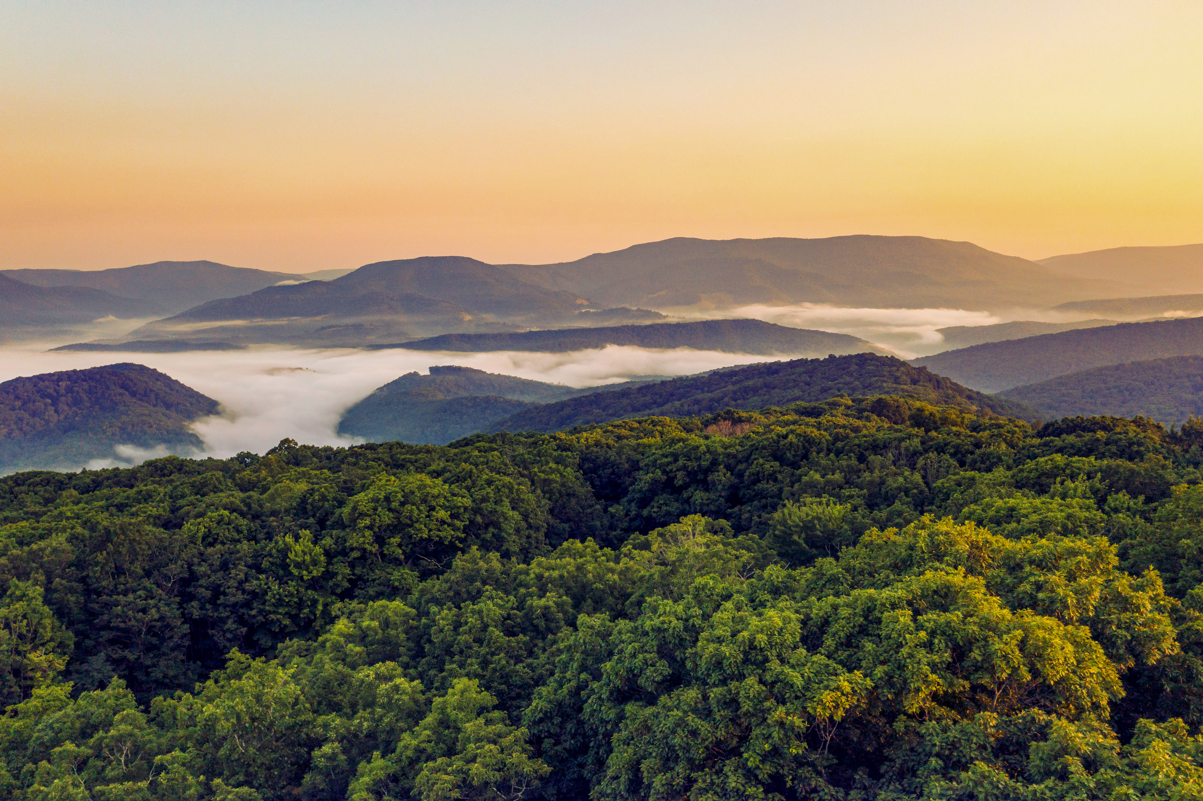 Nebel legt sich auf die atemberaubende Landschaft West Virginias