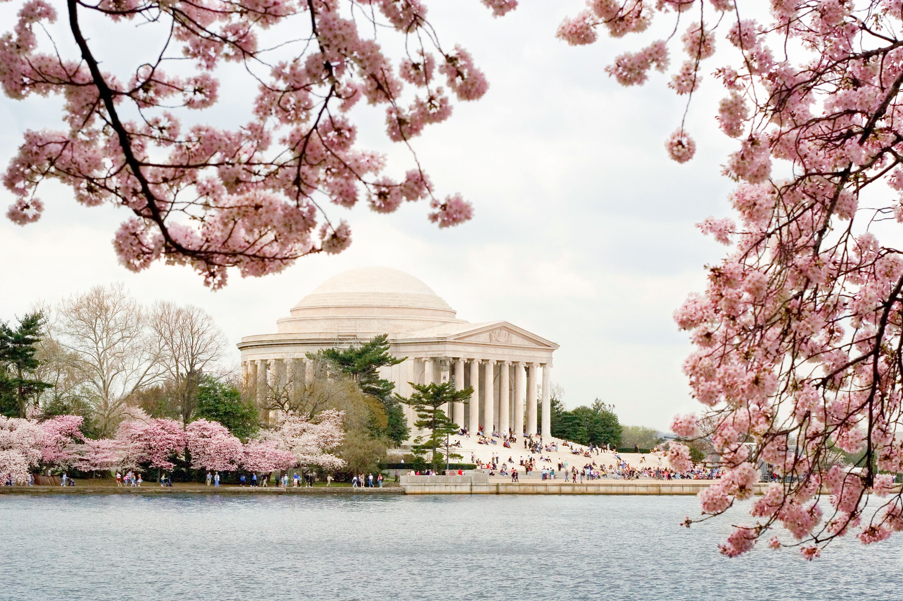 Jefferson Monument in Washington D.C.