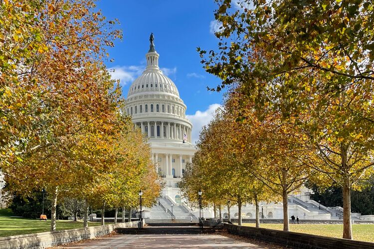 Herbstfarben vor dem Kapitol in Washington, DC