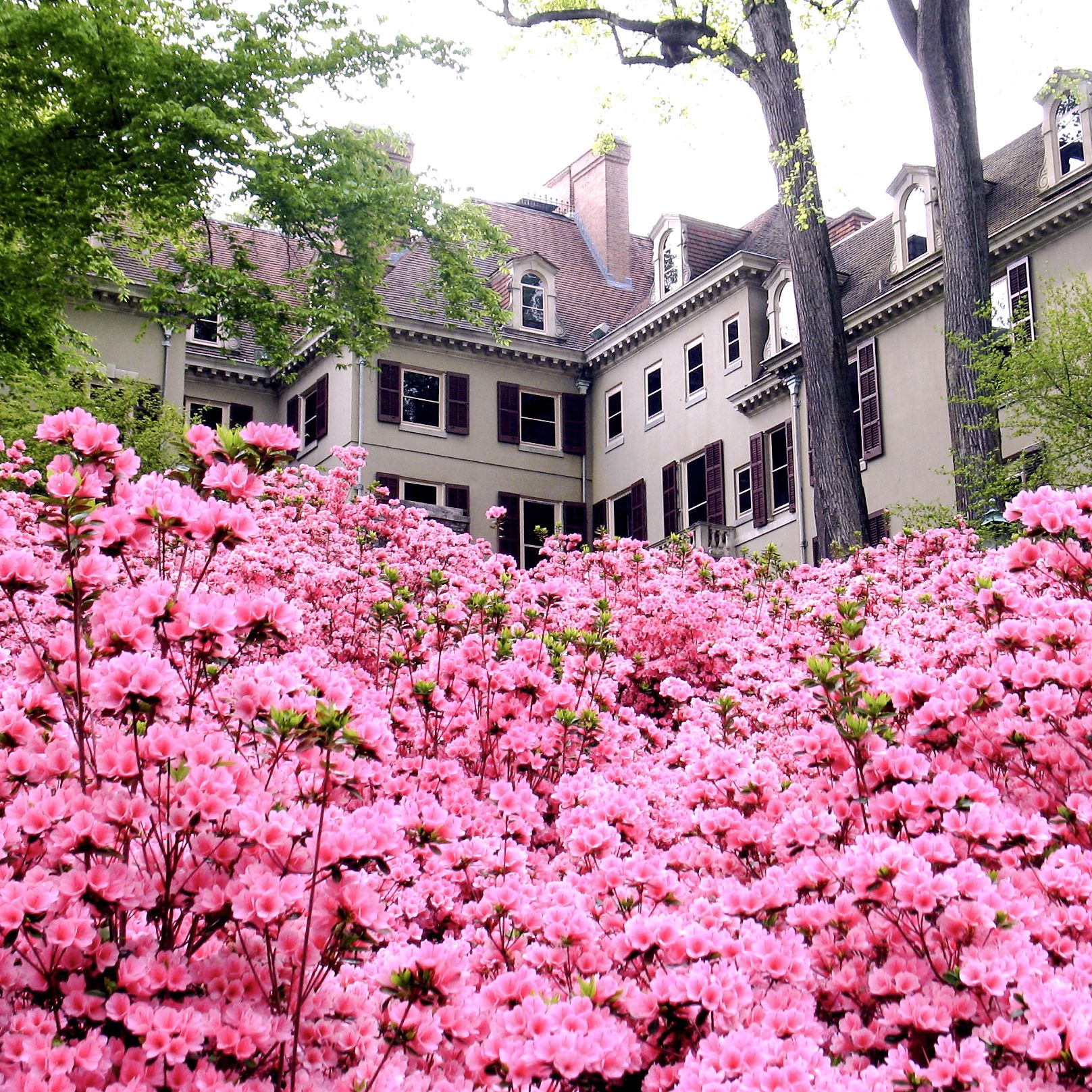 Willkommen im Winterthur Museum and Country Estate in Winterthur, Delaware