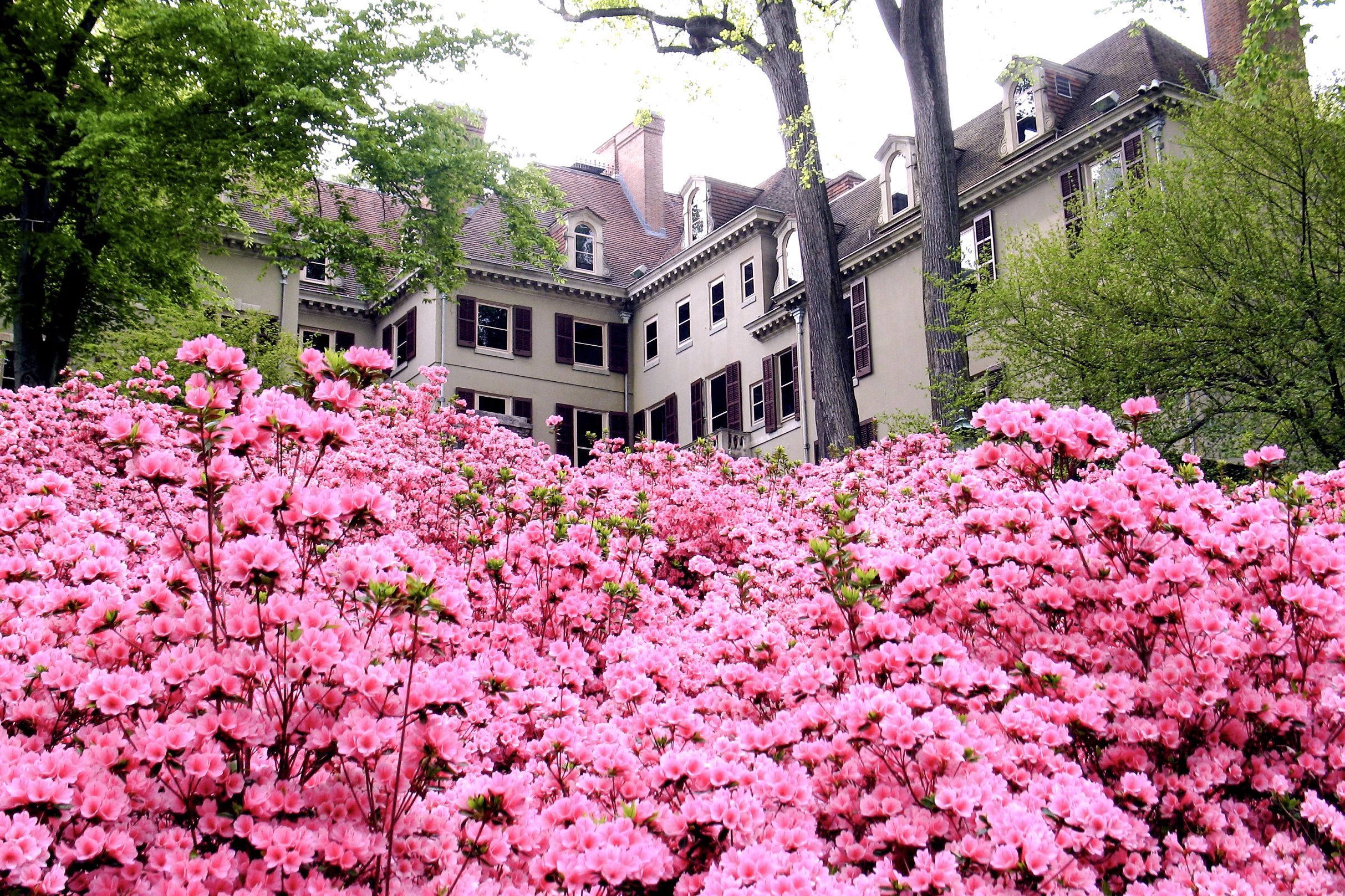 Willkommen im Winterthur Museum and Country Estate in Winterthur, Delaware