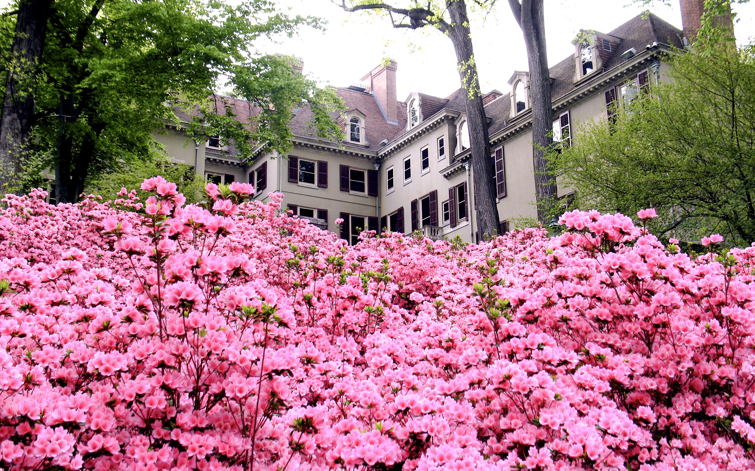 Willkommen im Winterthur Museum and Country Estate in Winterthur, Delaware