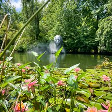 regionen/usa/ostkueste/new-jersey/grounds-for-sculpture/grounds-for-sculpture.cr3024x3024-0x510 regionen/usa/ostkueste/new-jersey/grounds-for-sculpture/grounds-for-sculpture.cr3024x3024-0x510