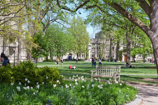 Frühling auf dem Campus der Princeton University