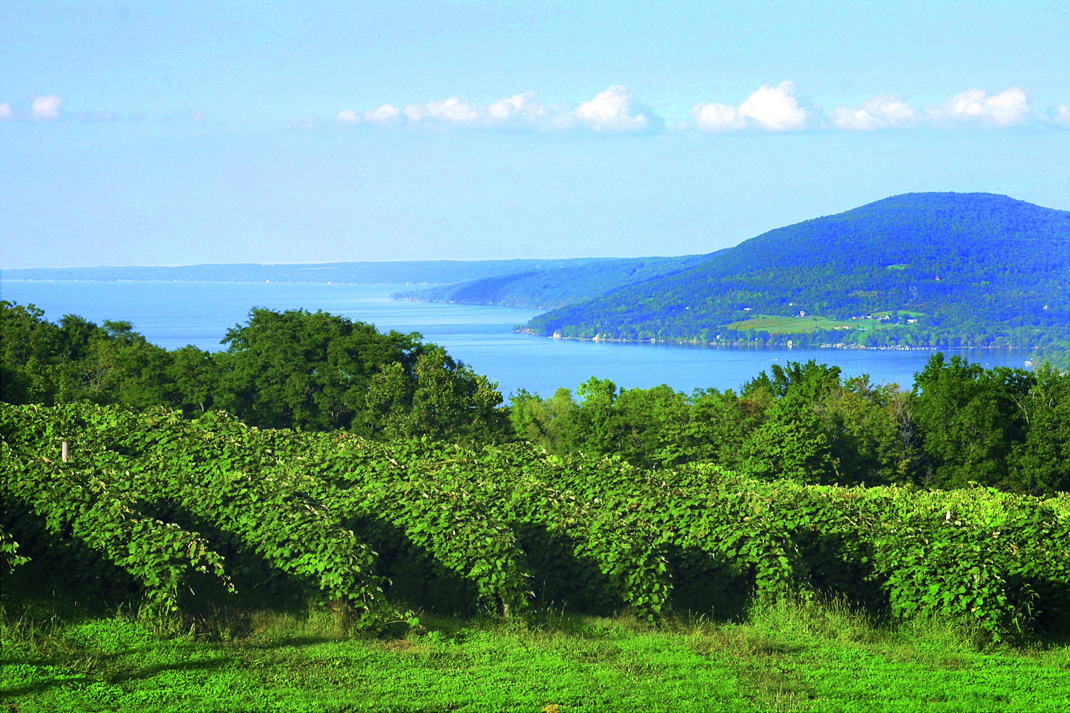 regionen/usa/ostkueste/new-york-state/allgemein/canandaigua-lake-finger-lakes-region.cr3596x2397-0x0