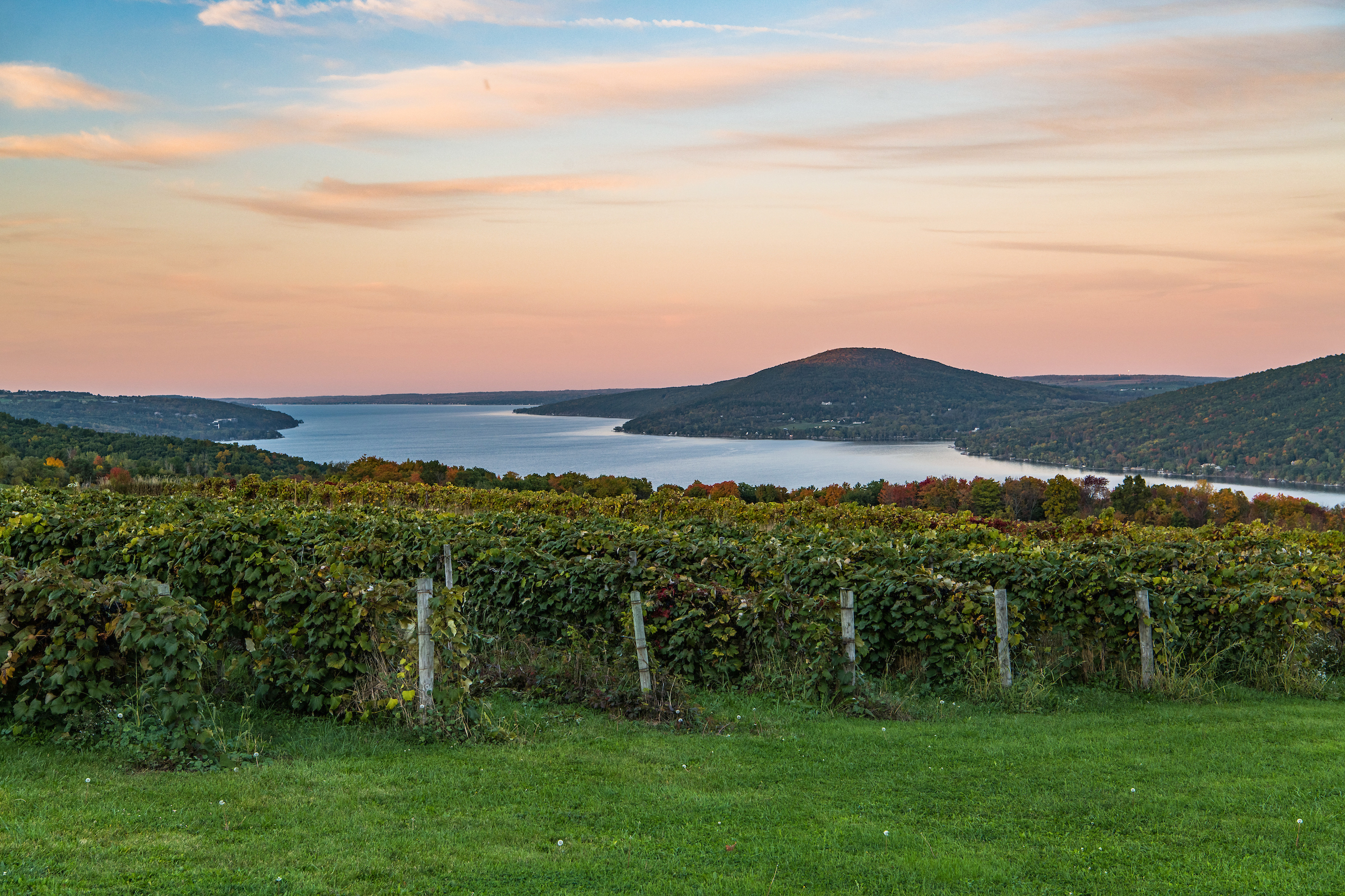 Blick auf den Canandaigua Lake und Weinberge in Naples im US-Bundesstaat New York