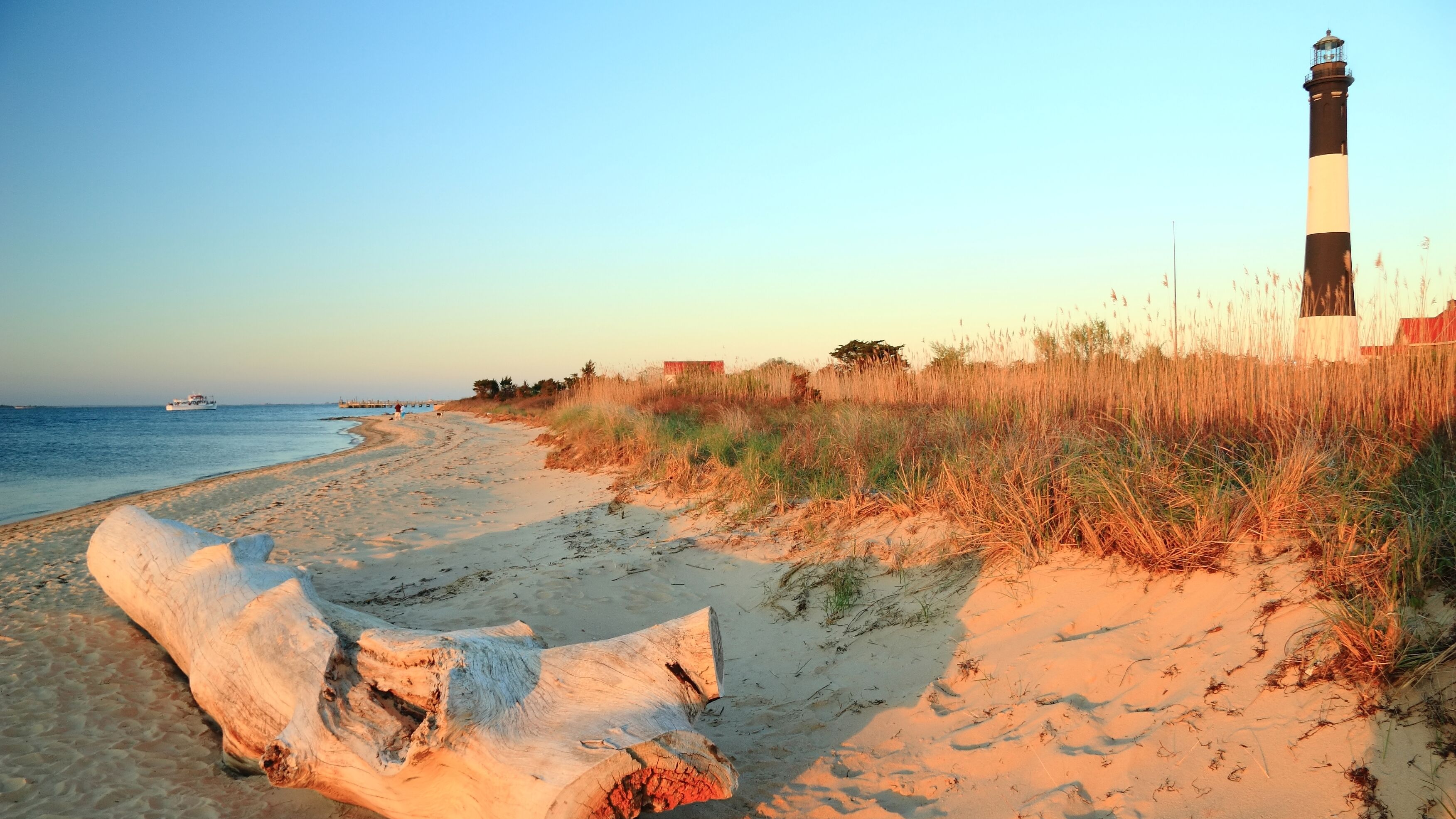 Treibholz am Strand von Fire Island, im Hintergrund der Leuchtturm der Insel Ein Strandabschnitt und der Leuchtturm von Fire Island