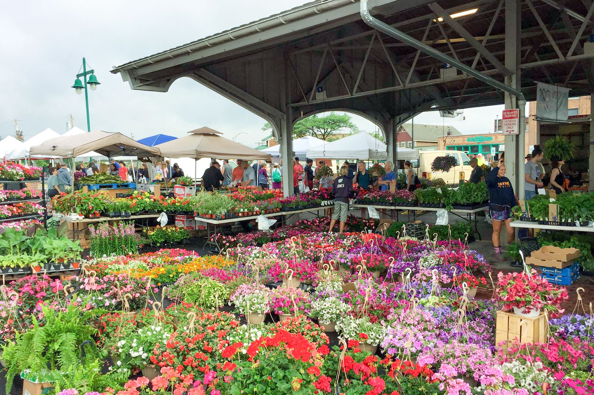 Ein Stand mit Pflanzen auf dem Public Market in Rochester