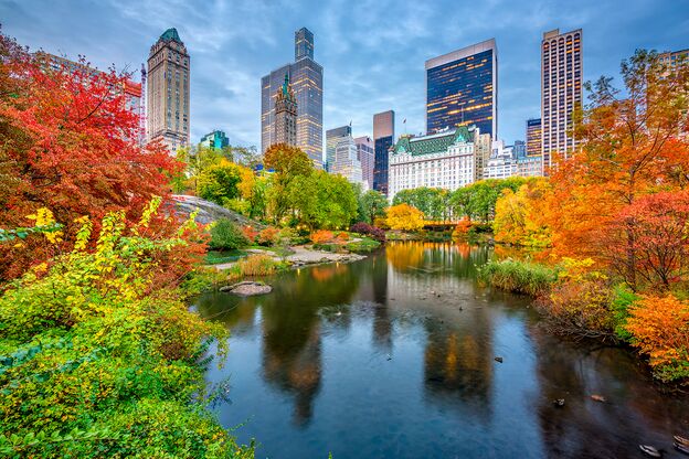 Den in Herbstfarben getauchten Central Park von New York erleben Den in Herbstfarben getauchten Central Park von New York erleben