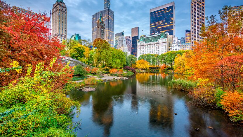 Den in Herbstfarben getauchten Central Park von New York erleben Den in Herbstfarben getauchten Central Park von New York erleben