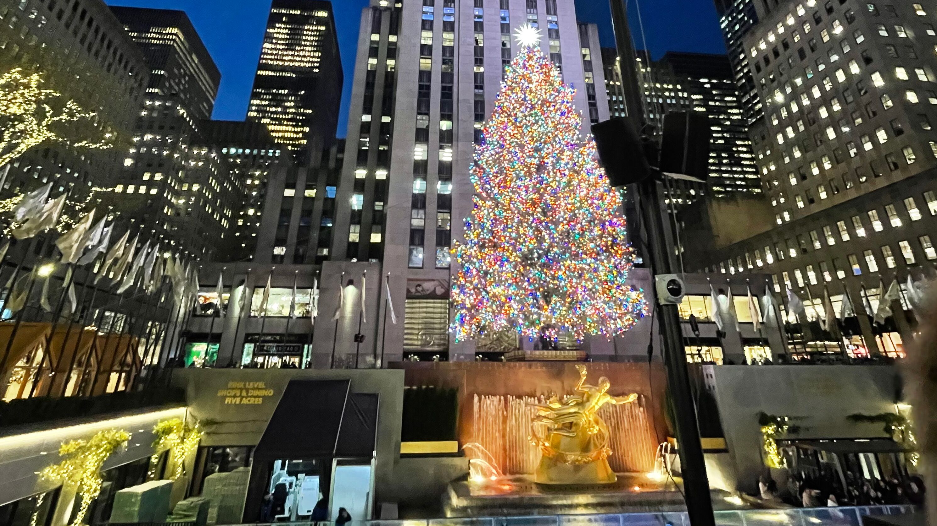 Der berühmte Weihnachtsbaum vor dem Rockefeller-Center im vorweihnachtlichen New York 