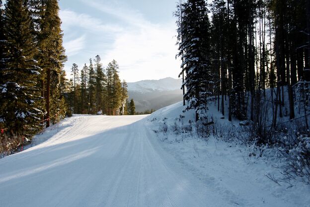 Sonnenaufgang hinter BÃ¤umen bei Breckenridge