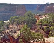 regionen/usa/rocky-mountain-staaten/colorado/colorado-national-monument/monument-canyon-rocks.cr4128x1809-0x74 regionen/usa/rocky-mountain-staaten/colorado/colorado-national-monument/monument-canyon-rocks.cr4128x1809-0x74