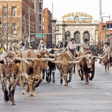 regionen/usa/rocky-mountain-staaten/colorado/denver/national-western-stock-show-parade.cr1472x1473-307x0