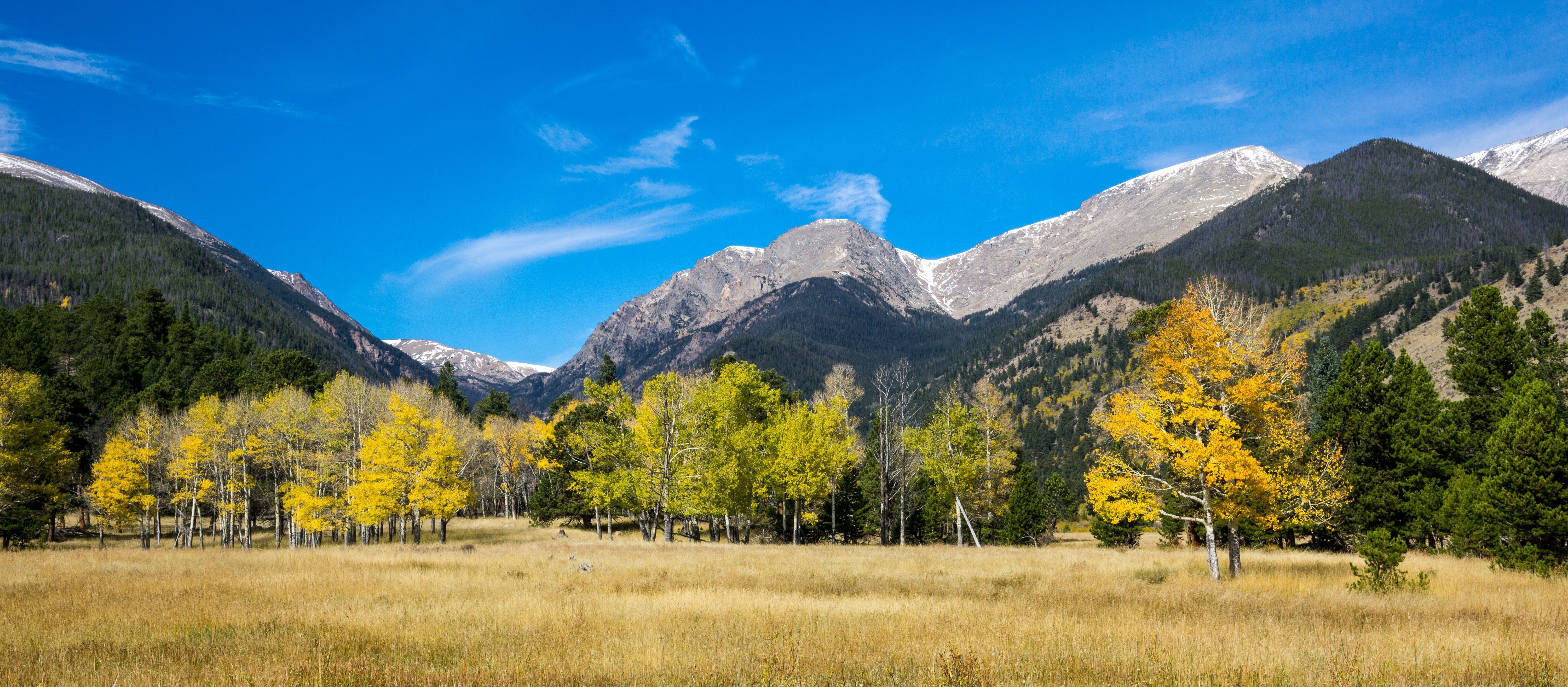 Idyllische Natur im Horseshoe Park im Rocky Mountain National Park