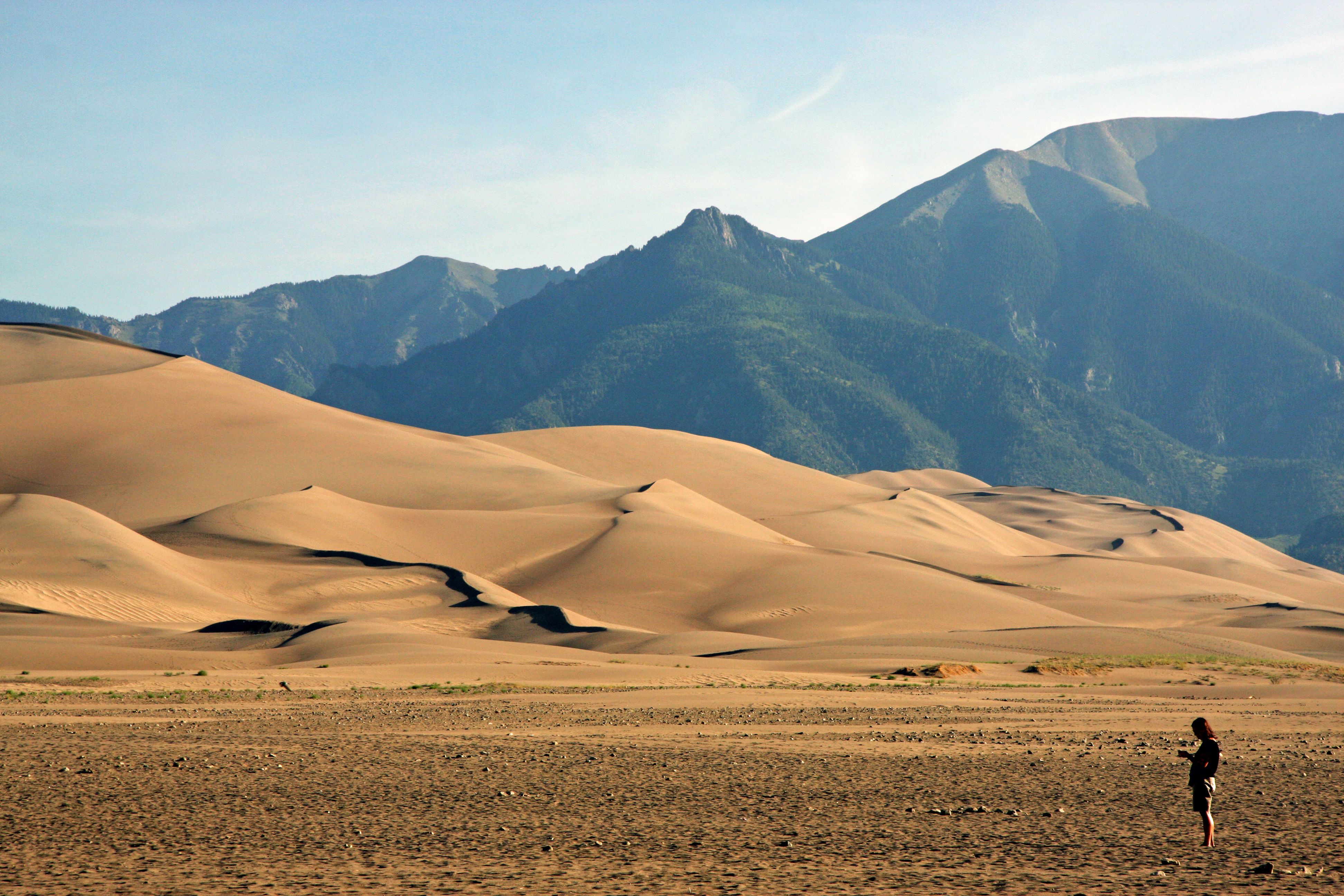 Colorados Kontraste: Brauner DÃ¼nensand vor grÃ¼nbedeckten Bergen im Great Sand Dunes National Park