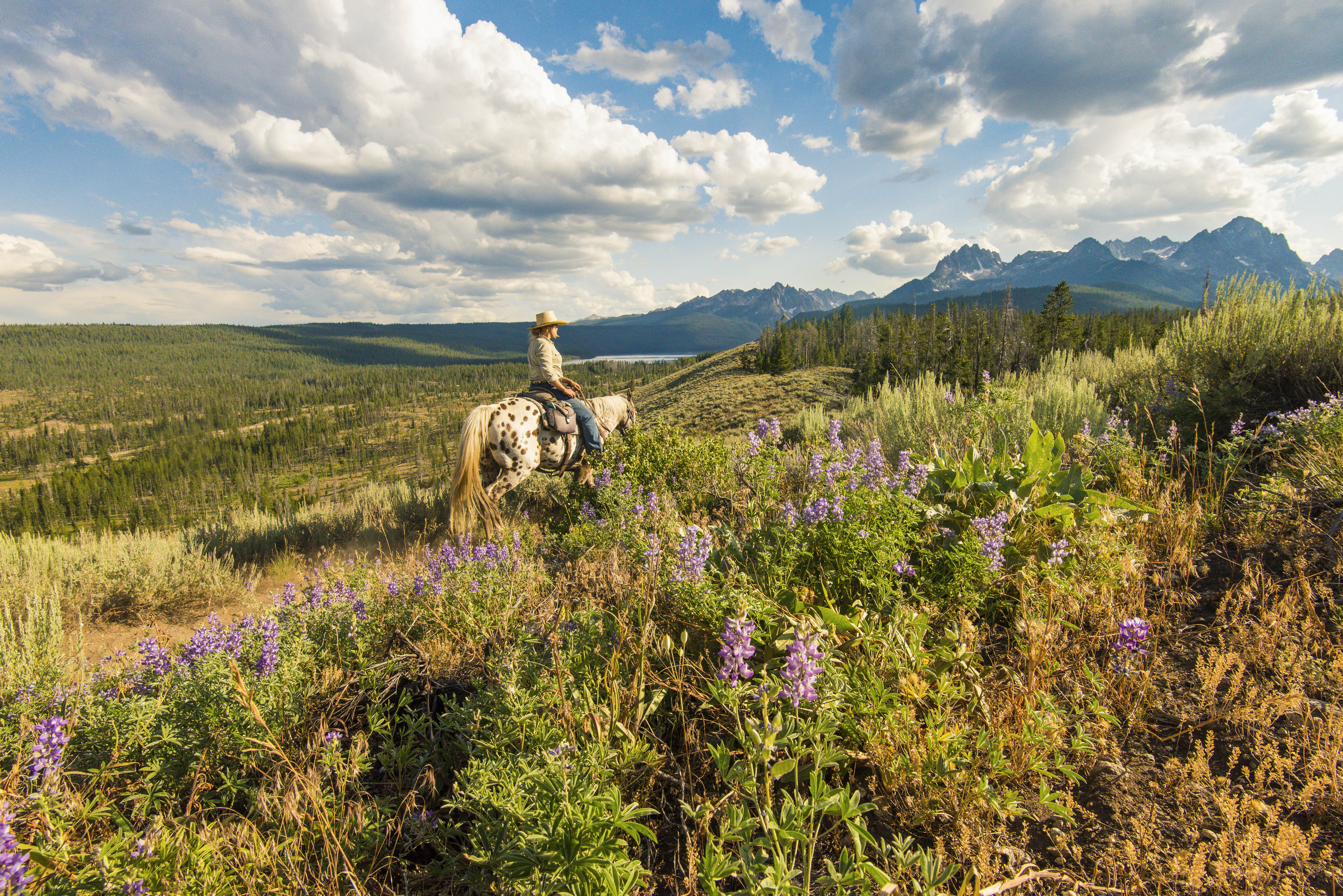 Ausritt mit der Familie am Redfish Lake in Idaho