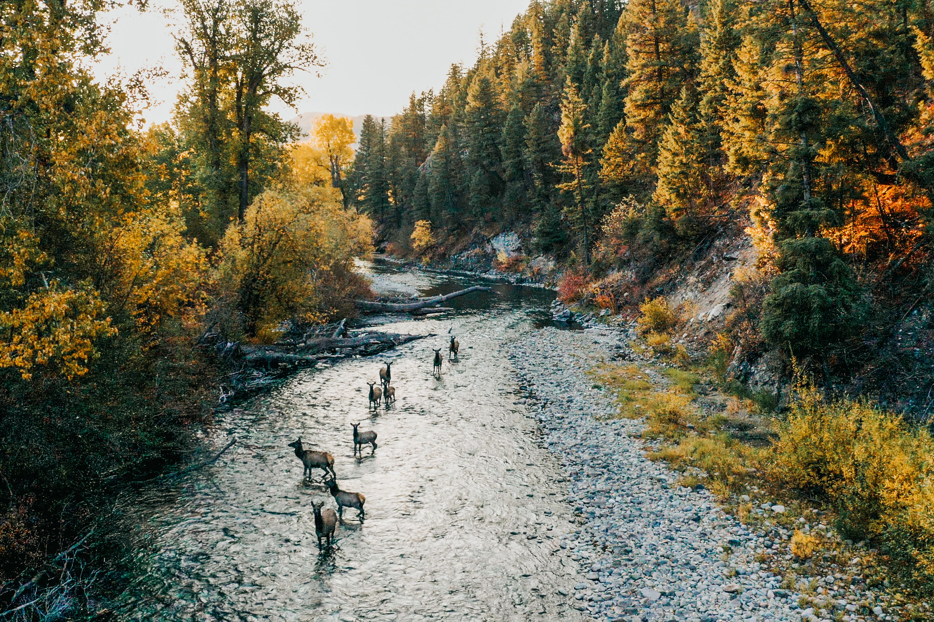 Idylle am Fluss Big Wood River bei Ketchum, Idaho