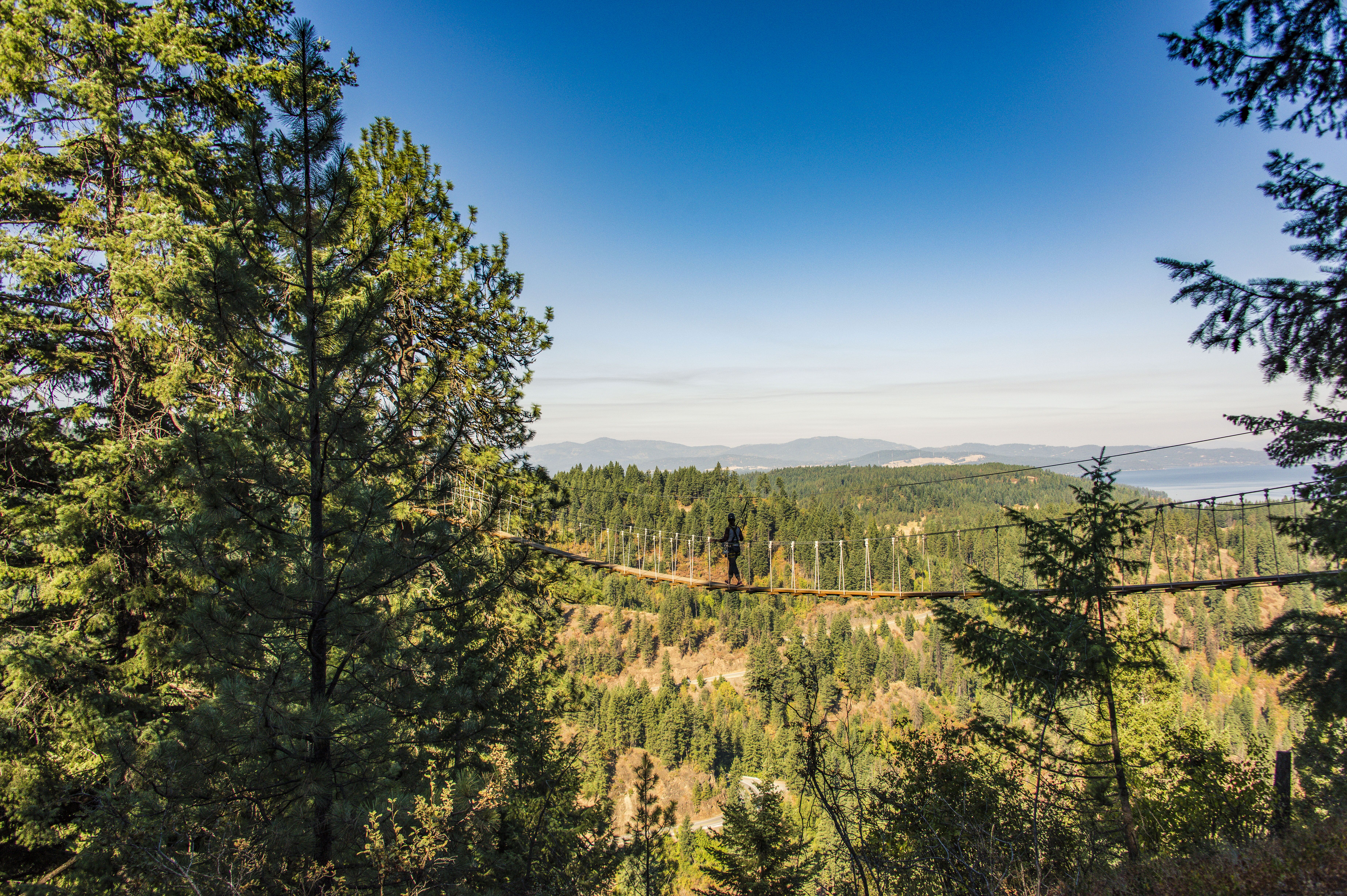 Der Weg zu Timberline Zipline Tours am Coeur d'Alene Lake in Idaho