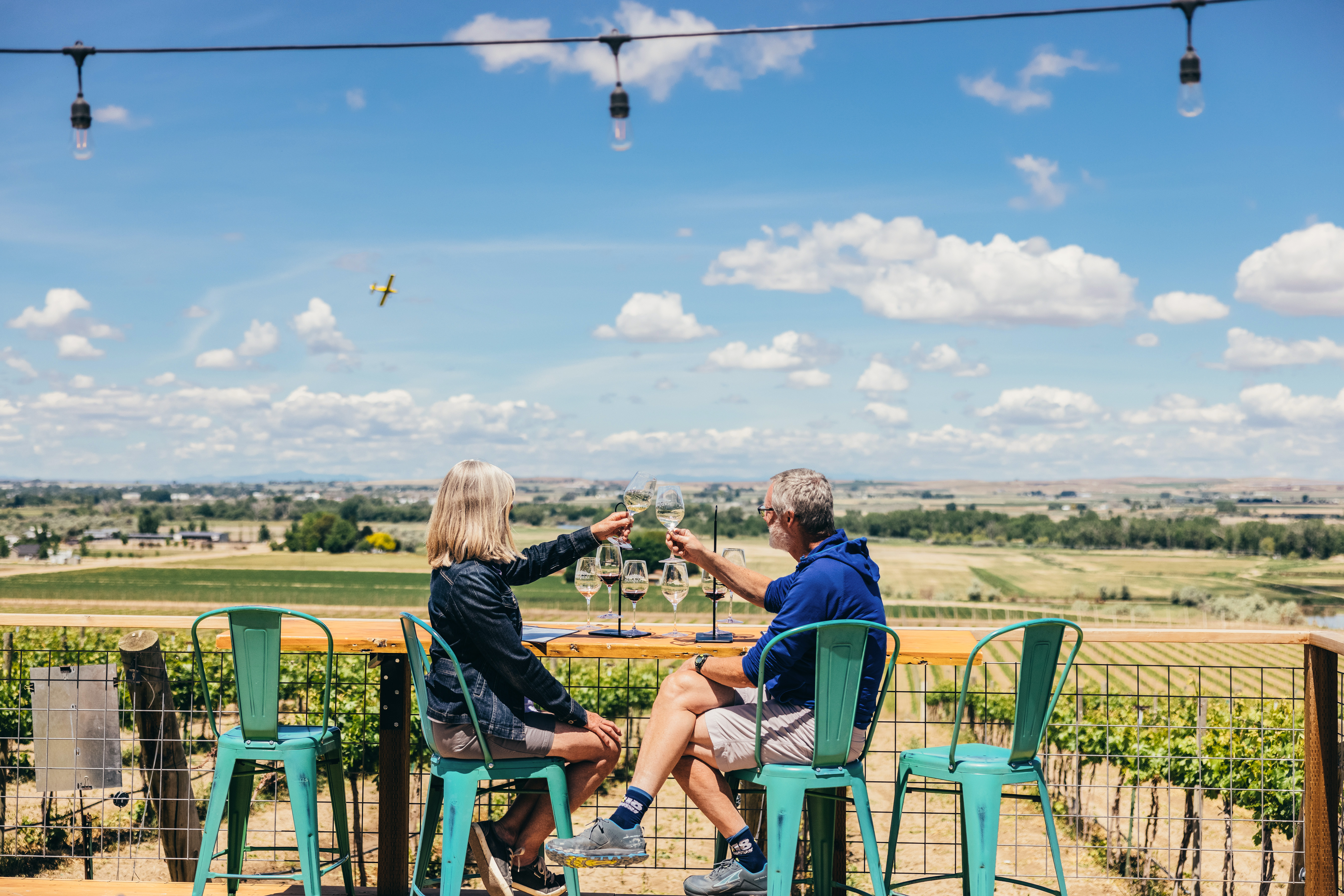 Winetasting am Scenic Byway mit Blick auf die Weinfelder