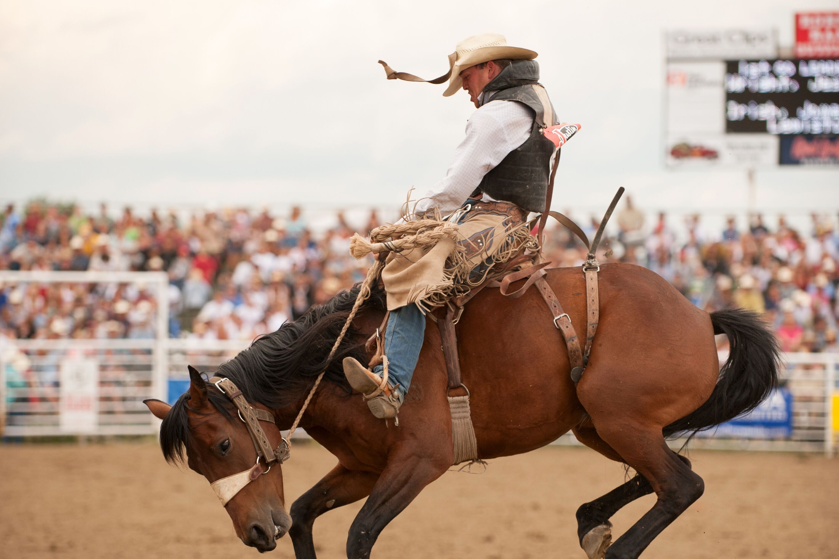 Home of Champions Rodeo, Red Lodge