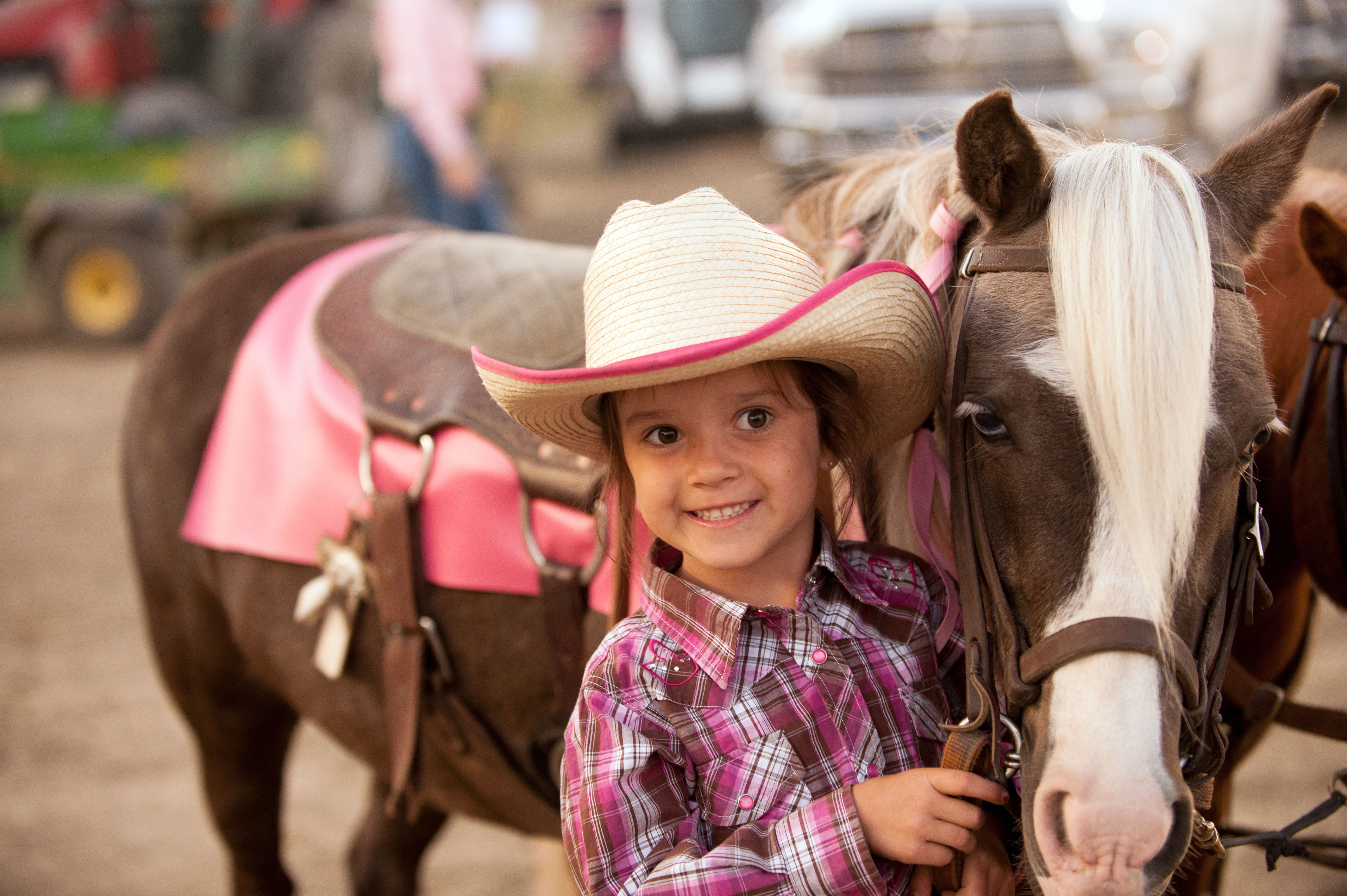 Rodeo bei Montana Fair PRCA Rodeo Billings