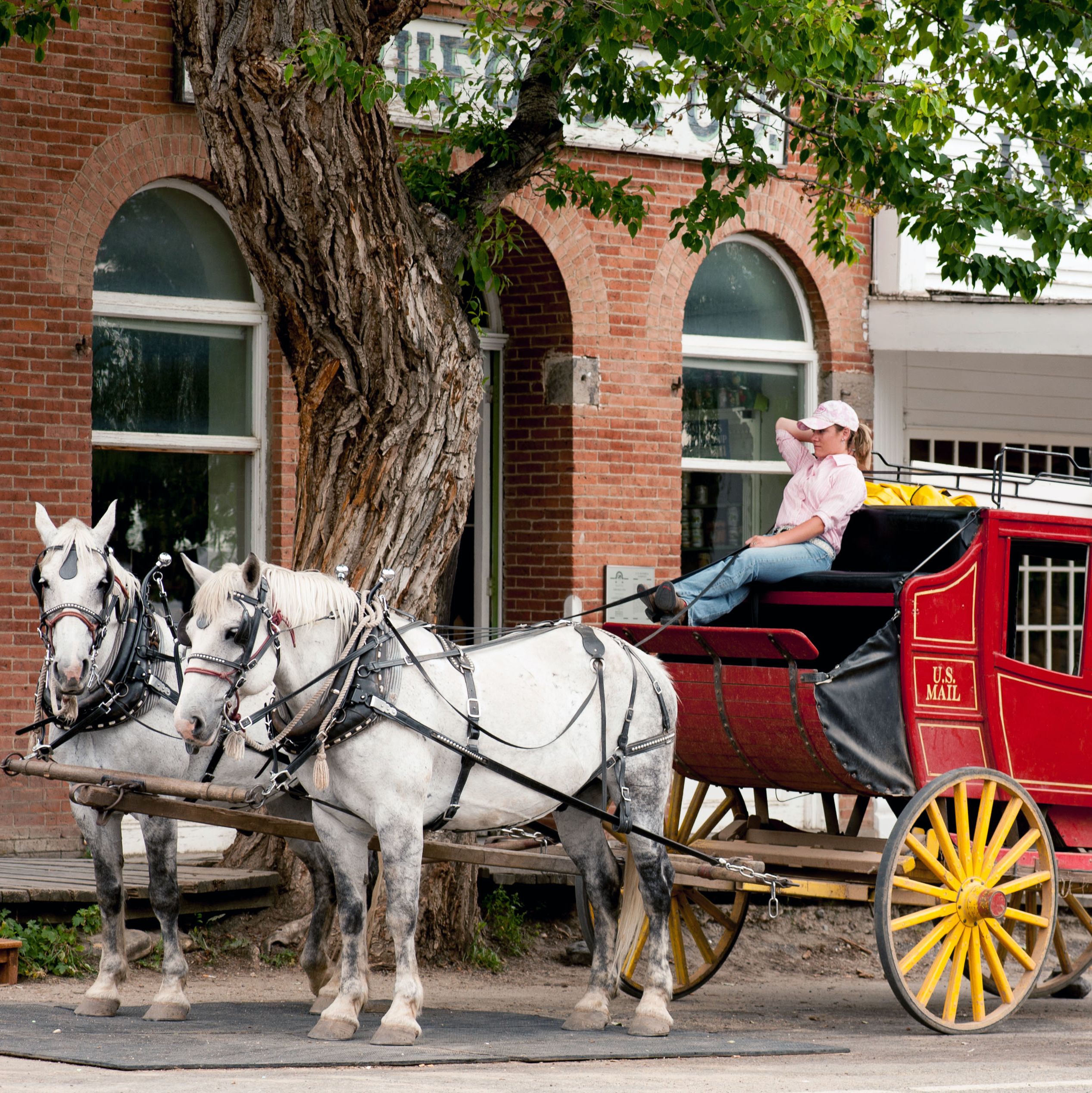 Stagecoach Rides, Virginia City