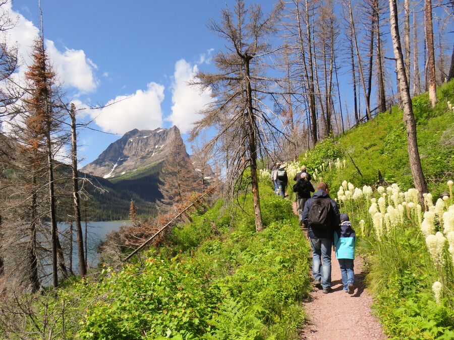 Wandern im Glacier-Nationalpark in Montana