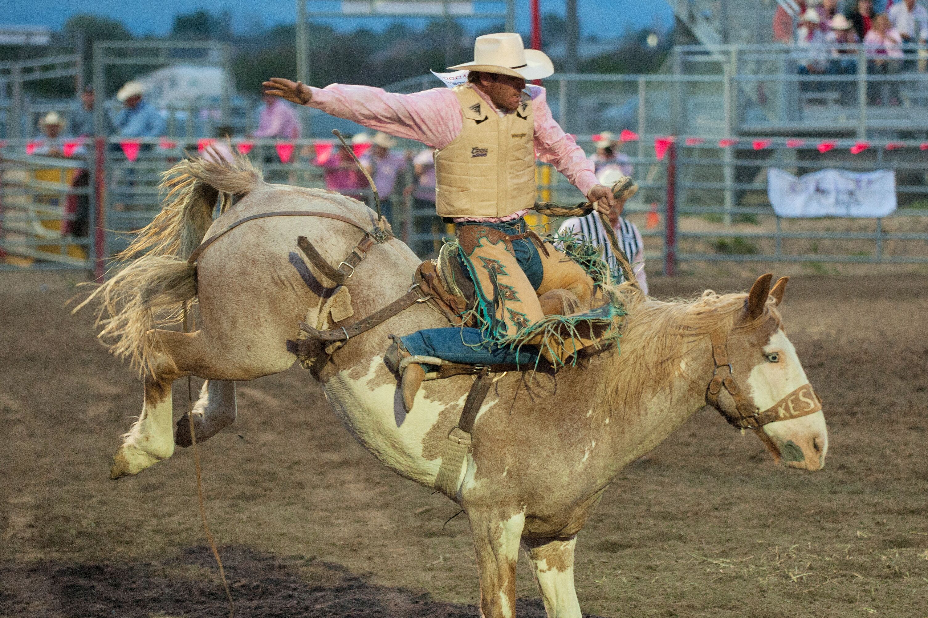 Last Chance Stampede and Fair in Helena, Montana