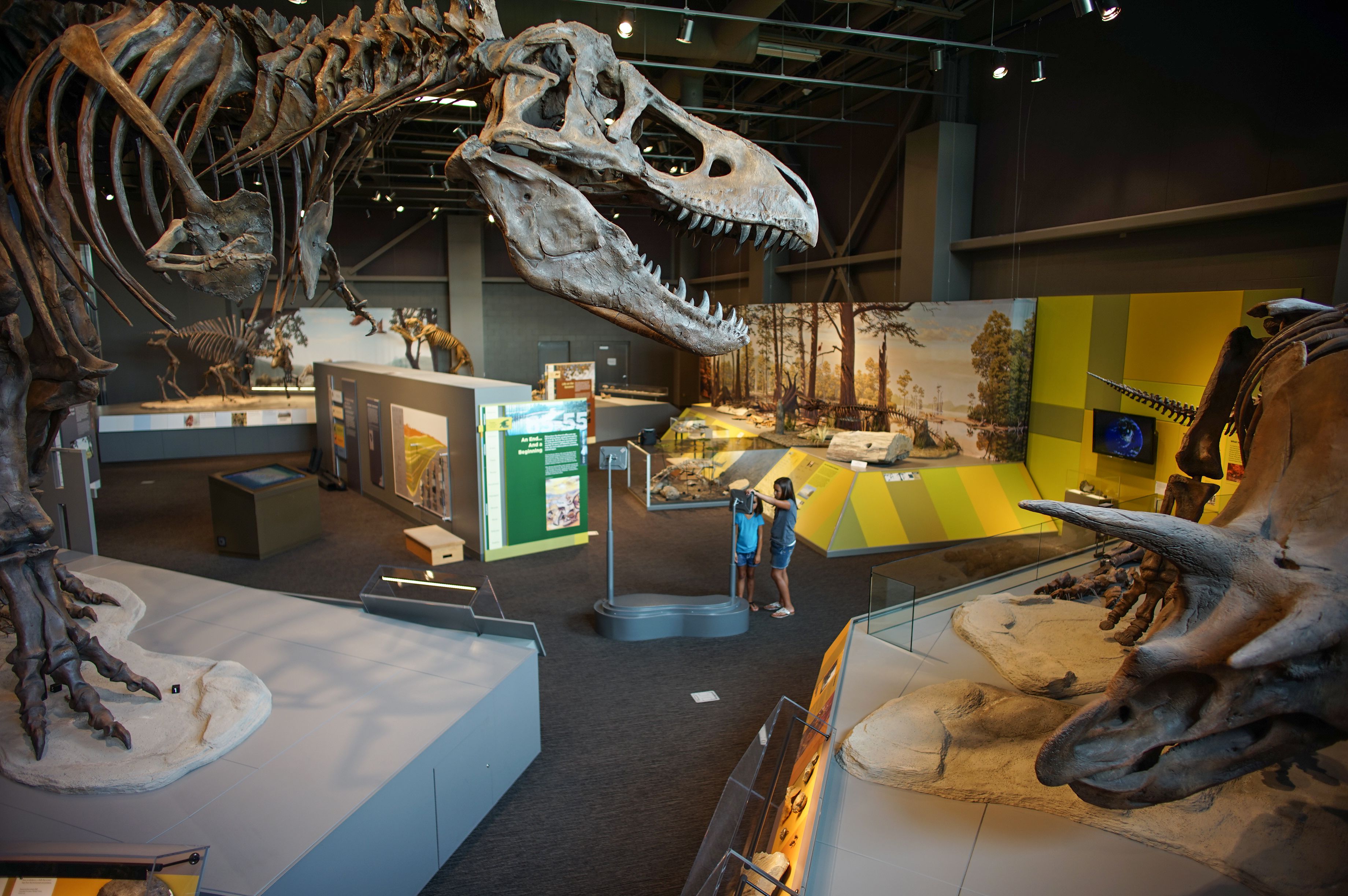 Dinosaurier Skelette in dem North Dakota Heritage Center and State Museum in Bismarck