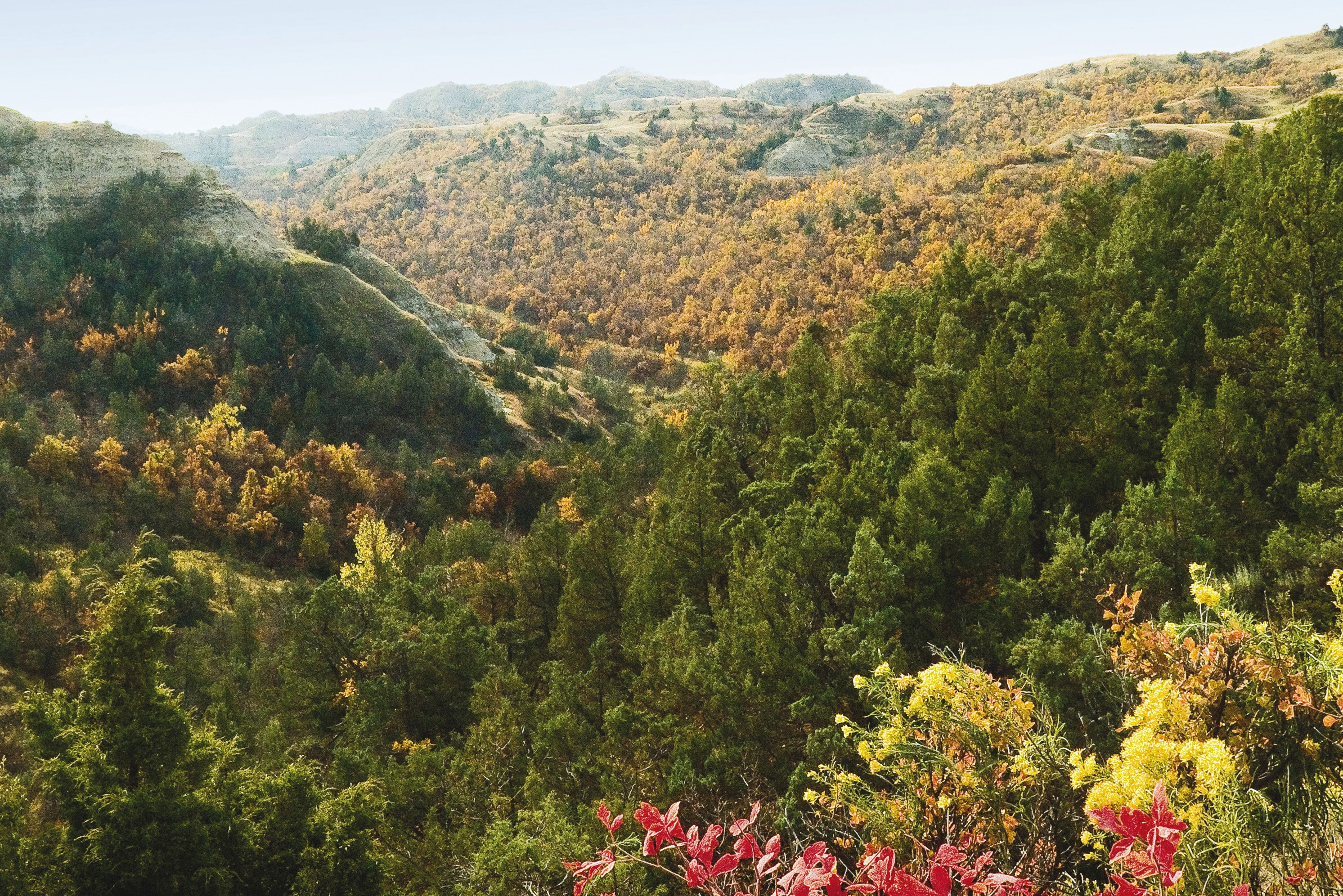 regionen/usa/rocky-mountain-staaten/northdakota/allgemein/herbst-wald.cr2985x1992-0x0