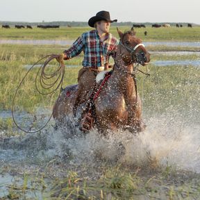 Impressionen der Black Leg Ranche in Sterling, North Dakota