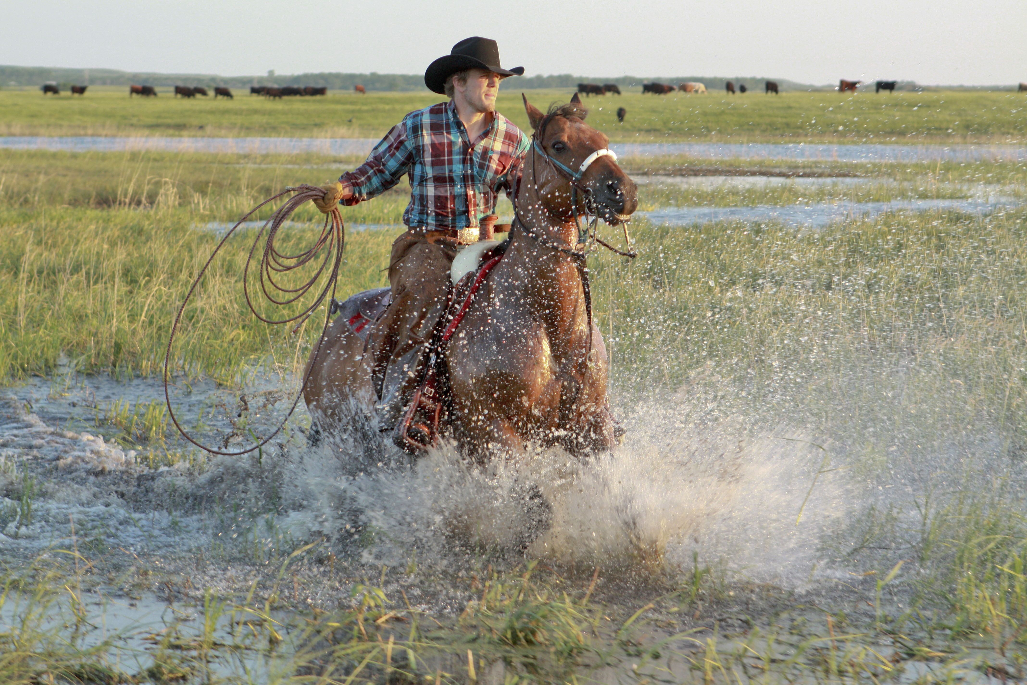 Impressionen der Black Leg Ranche in Sterling, North Dakota