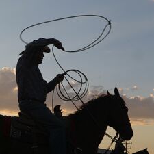 regionen/usa/rocky-mountain-staaten/wyoming/allgemein/cody-stampede-rodeo-02.cr3250x3254-1645x9 regionen/usa/rocky-mountain-staaten/wyoming/allgemein/cody-stampede-rodeo-02.cr3250x3254-1645x9