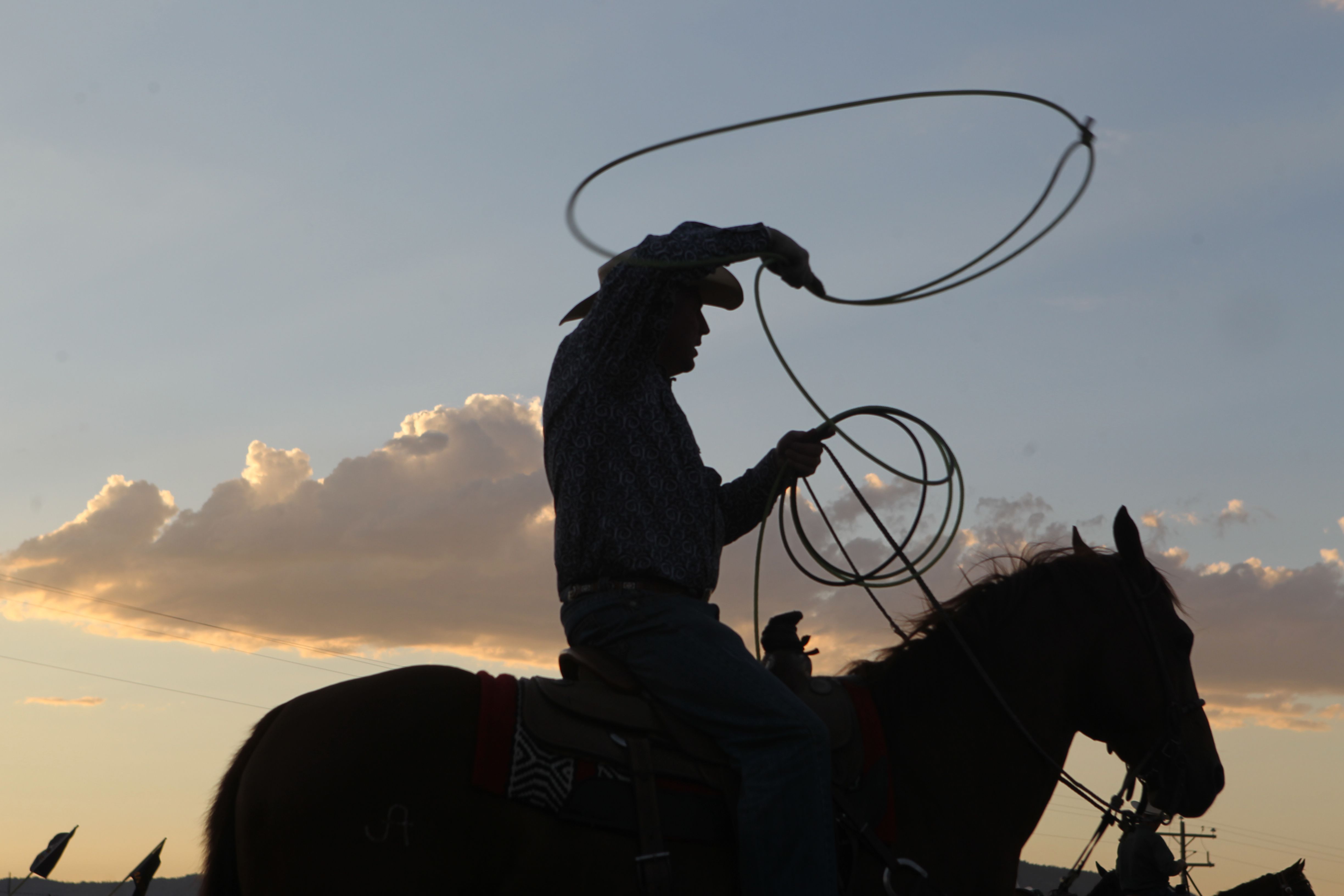 Cody Stampede Rodeo Silhouette Cowboy