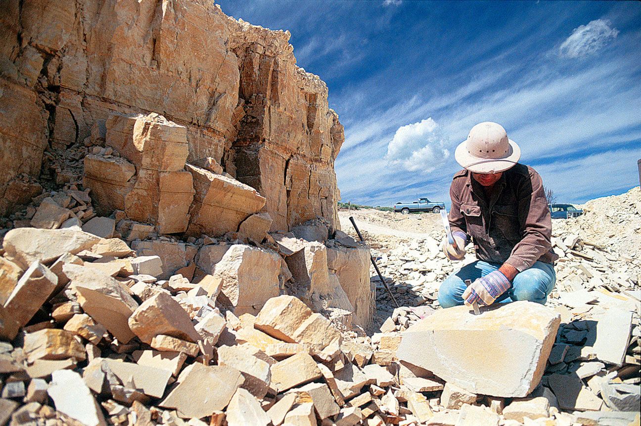 Fossil Digging in Southwest Wyoming