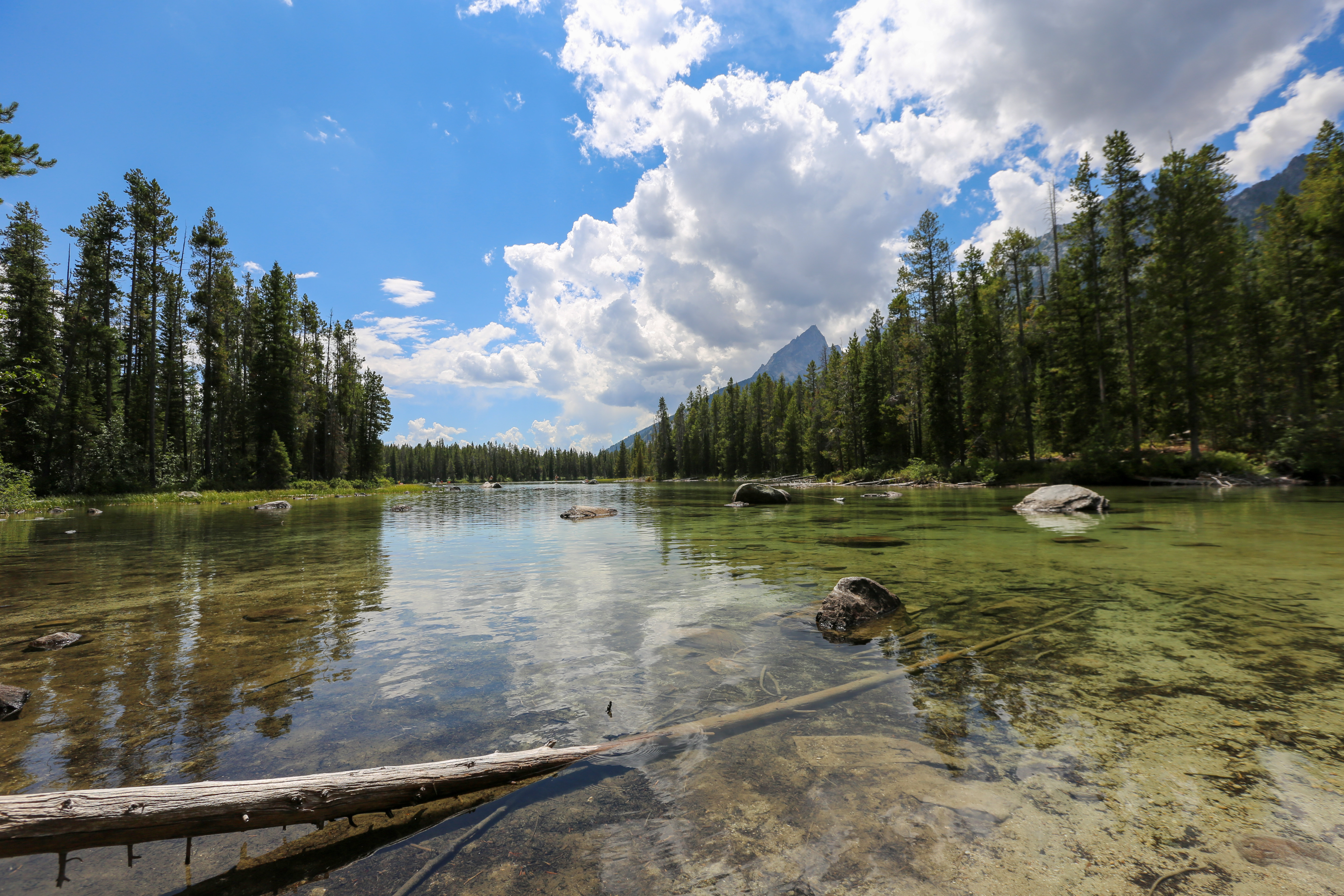 Blick auf einen See im Grand Teton National Park