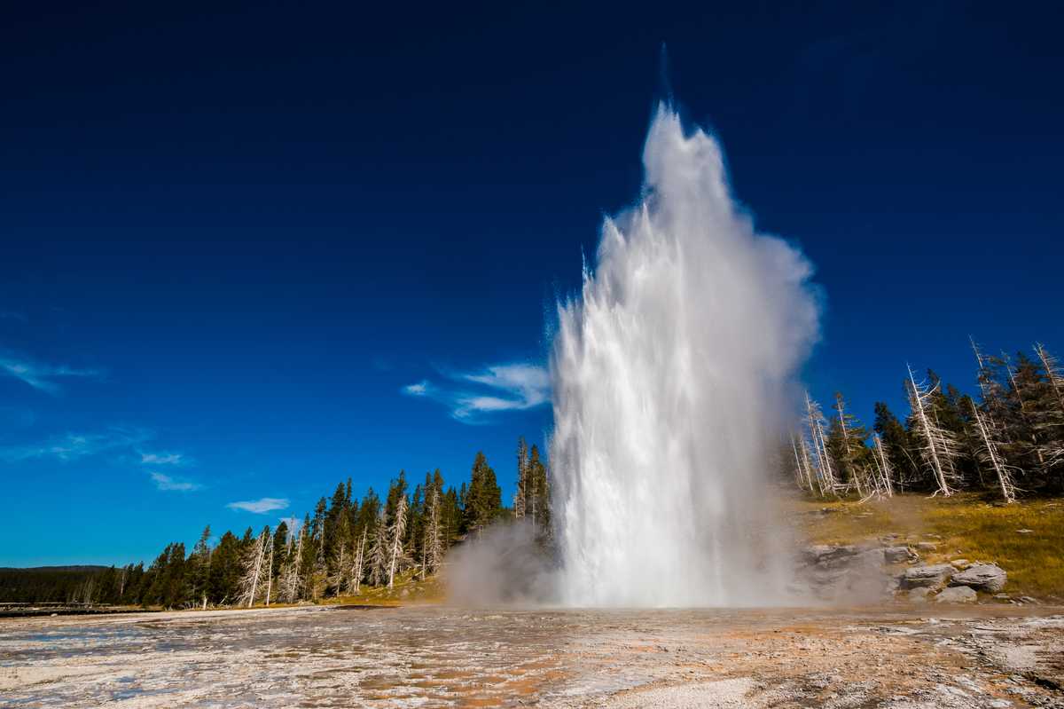 Urlaub Für Naturliebhaber Im Yellowstone National Park! | CANUSA