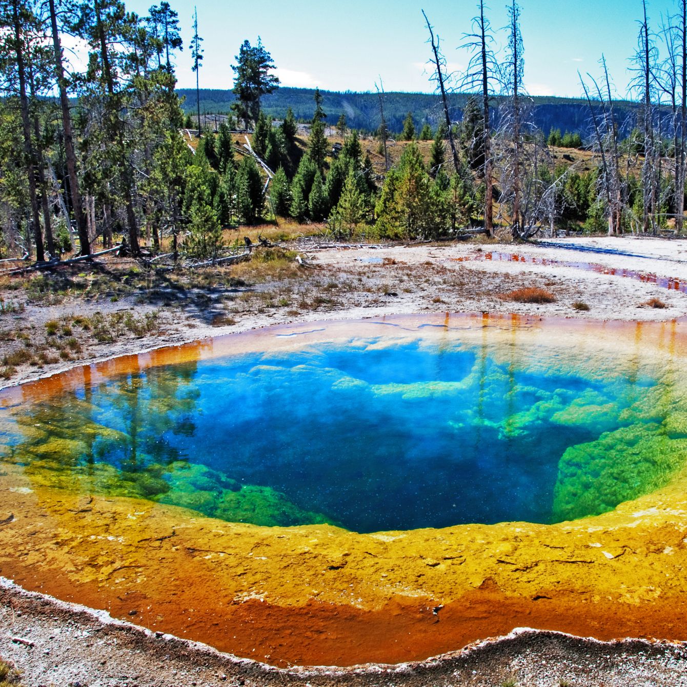 Grand Prismatic im Yellowstone Nationalpark