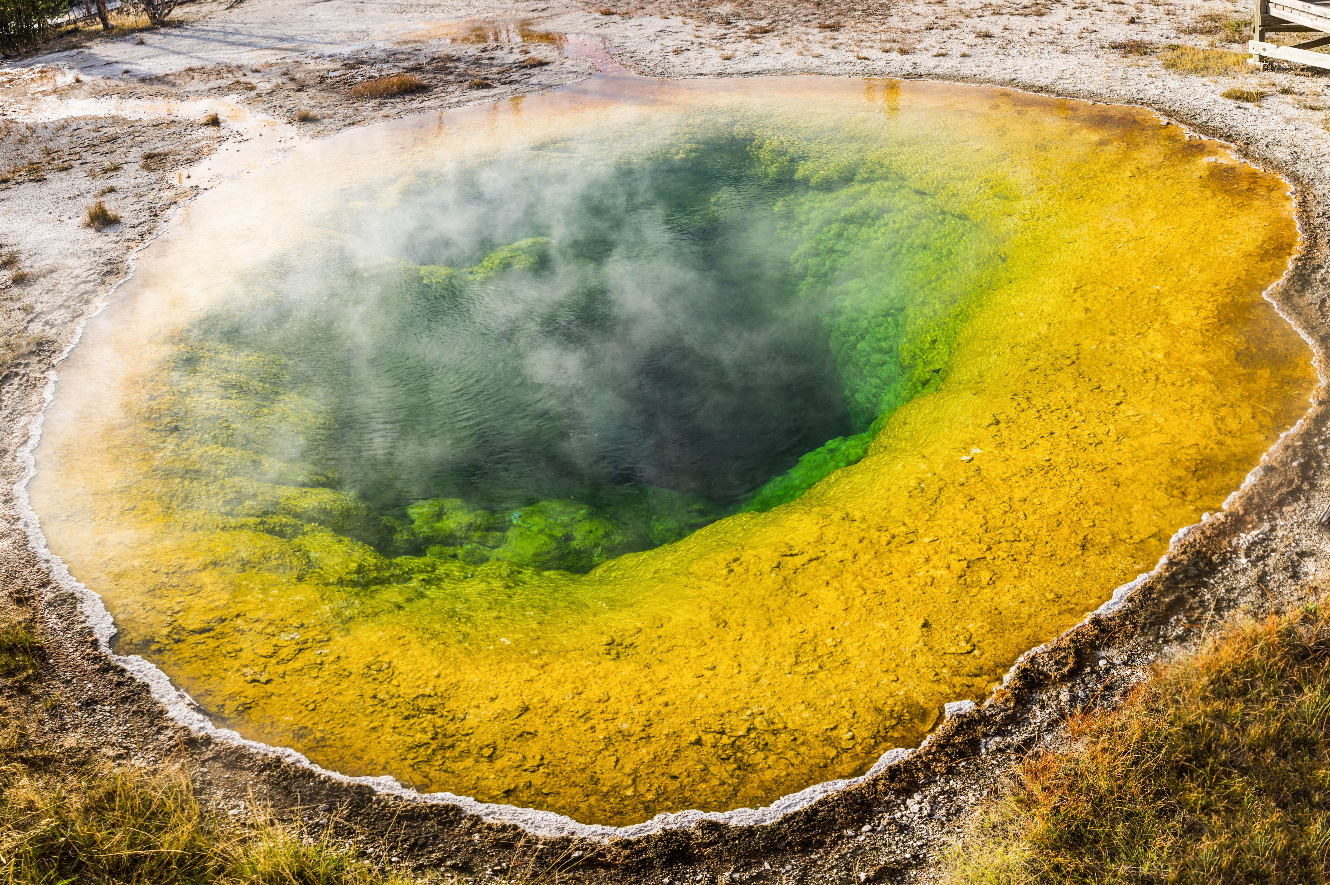 Das Obere Geysir-Becken im Yellowstone-Nationalpark in Wyoming