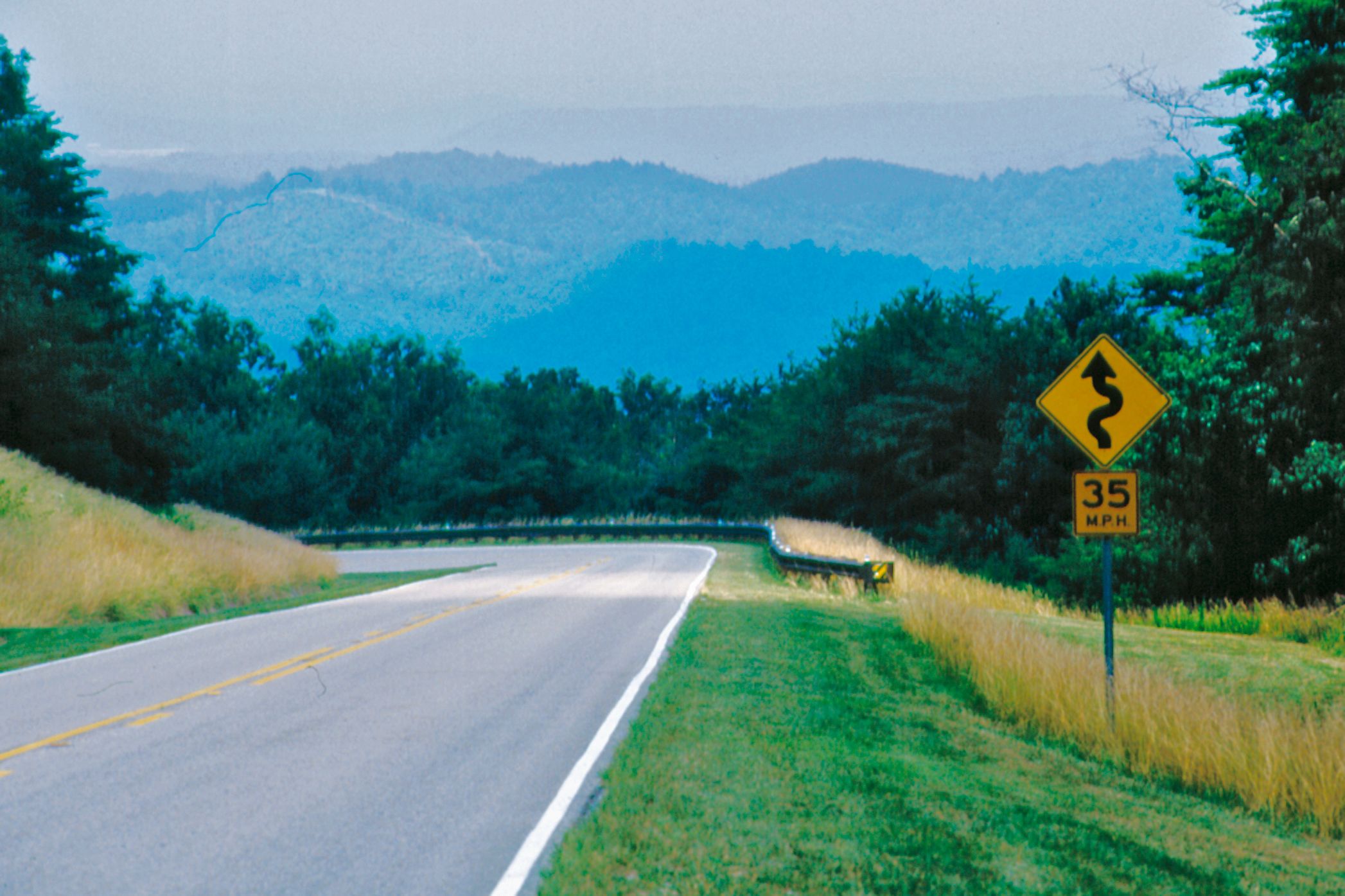 Eine Straße in Alabama führt durch die Natur