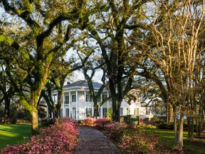 Villa umgeben von wunderschönen Bäumen in Alabama