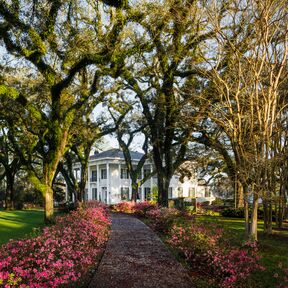 Villa umgeben von wunderschönen Bäumen in Alabama