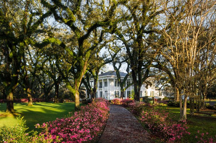 Villa umgeben von wunderschönen Bäumen in Alabama