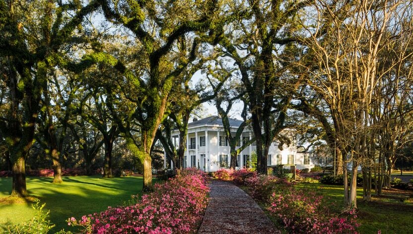 Villa umgeben von wunderschönen Bäumen in Alabama Villa umgeben von wunderschönen Bäumen in Alabama